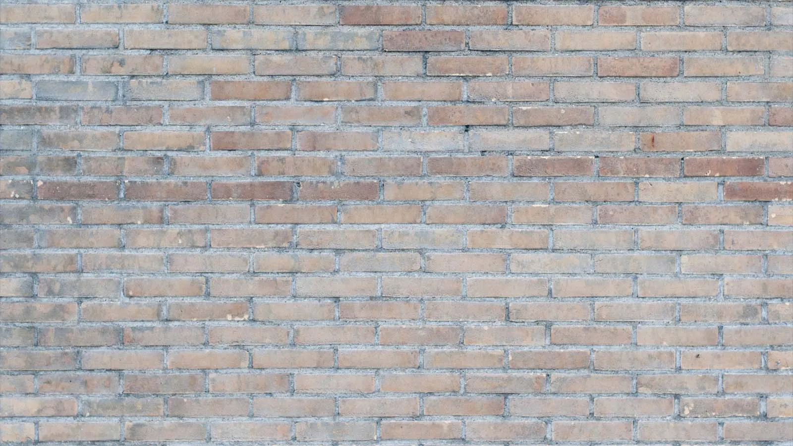 Este tipo de paredes son las que más afectan al Wi-Fi de tu casa